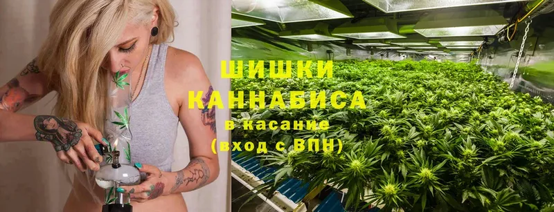 Бошки Шишки OG Kush  Борисоглебск 